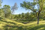  Quail Ridge - Photo 16