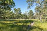  Quail Ridge - Photo 7