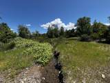 29609 Cedar Creek School Road - Photo 1