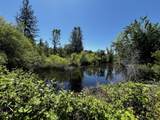29609 Cedar Creek School Road - Photo 4