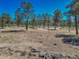 546-400 Old Highway Road - Photo 99