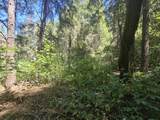  Roaring Brook Way - Photo 10