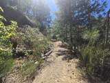  Roaring Brook Way - Photo 12