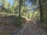  Roaring Brook Way - Photo 13