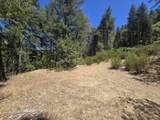  Roaring Brook Way - Photo 14