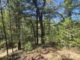  Roaring Brook Way - Photo 16