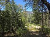  Roaring Brook Way - Photo 20