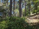  Roaring Brook Way - Photo 21