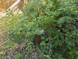  Roaring Brook Way - Photo 22