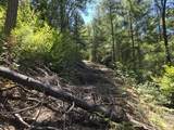  Roaring Brook Way - Photo 24