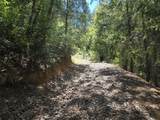  Roaring Brook Way - Photo 25