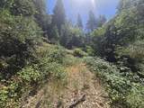  Roaring Brook Way - Photo 26