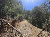  Roaring Brook Way - Photo 27