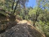  Roaring Brook Way - Photo 28