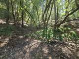  Roaring Brook Way - Photo 29