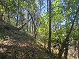  Roaring Brook Way - Photo 30
