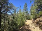  Roaring Brook Way - Photo 31