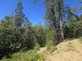  Roaring Brook Way - Photo 32