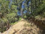  Roaring Brook Way - Photo 33