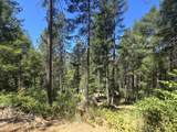  Roaring Brook Way - Photo 34