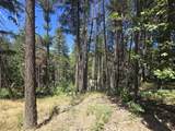  Roaring Brook Way - Photo 35