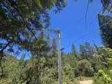 Roaring Brook Way - Photo 4