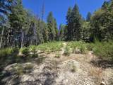  Roaring Brook Way - Photo 5