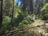  Roaring Brook Way - Photo 8