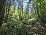  Roaring Brook Way - Photo 9