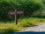 3304 Shasta Dam Boulevard - Photo 40