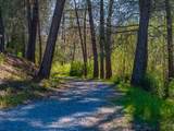3304 Shasta Dam Boulevard - Photo 41