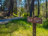 3304 Shasta Dam Boulevard - Photo 42