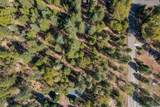 Lot 1 Emigrant Trail - Photo 8