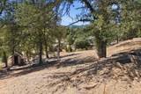 12026 Norma Lane - Photo 38