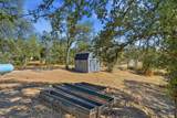 12026 Norma Lane - Photo 40