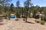 12026 Norma Lane - Photo 45