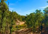 8717 Sun Valley Drive - Photo 60