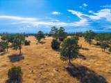 25242 Ash Creek Road - Photo 33
