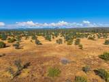 25242 Ash Creek Road - Photo 34