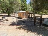 240 Senger Road - Photo 47