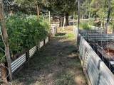 240 Senger Road - Photo 56