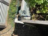 240 Senger Road - Photo 57