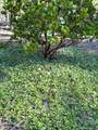  Gazelle Callahan Road - Photo 21