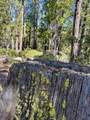 Gazelle Callahan Road - Photo 24