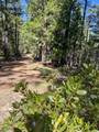  Gazelle Callahan Road - Photo 27