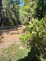  Gazelle Callahan Road - Photo 29