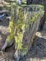  Gazelle Callahan Road - Photo 6