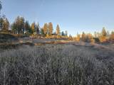  Donkey Mine Road - Photo 1
