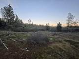  Donkey Mine Road - Photo 10