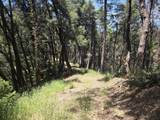  Fenders Ferry Road - Photo 10